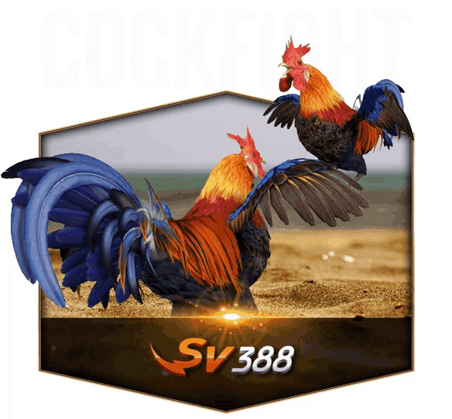 SV388 Cock Fight